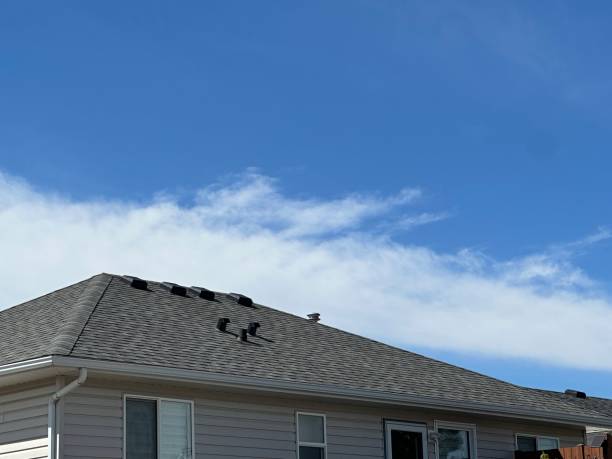 Best Solar Panel Roofing Installation  in Galesville, WI